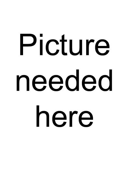 File:PictureNeeded.jpg